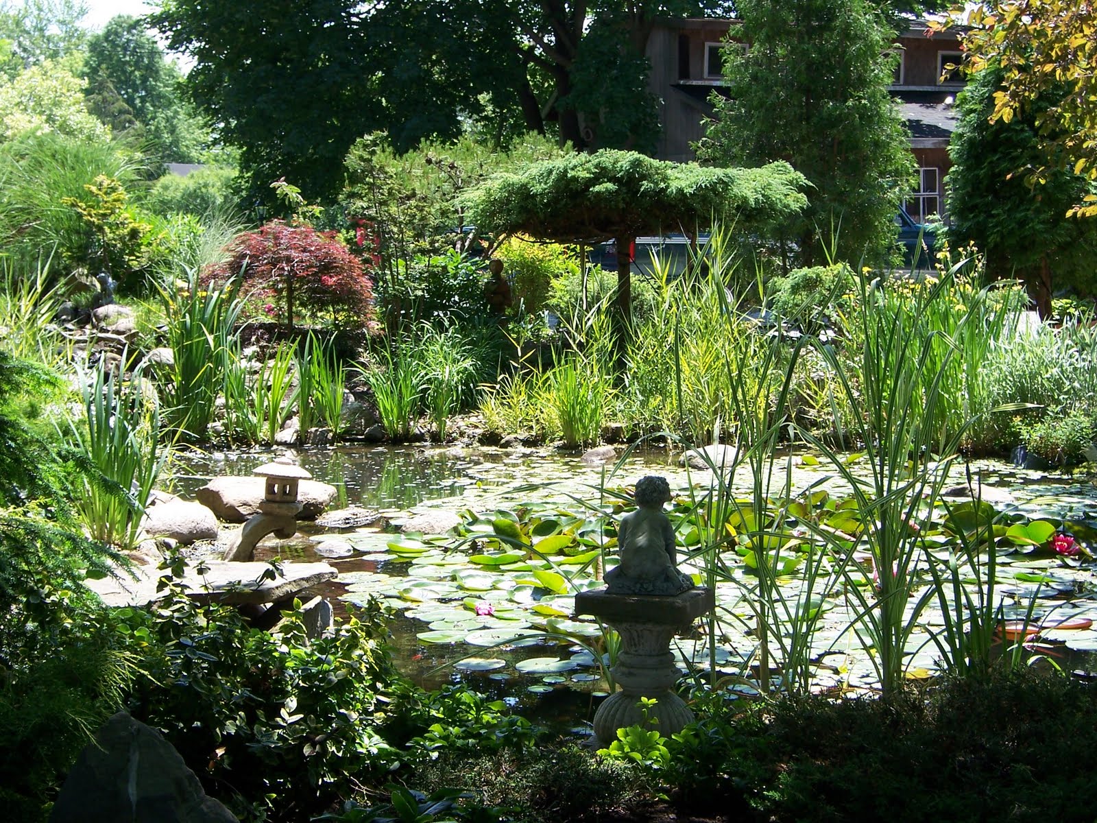 Backyard Garden and Pond