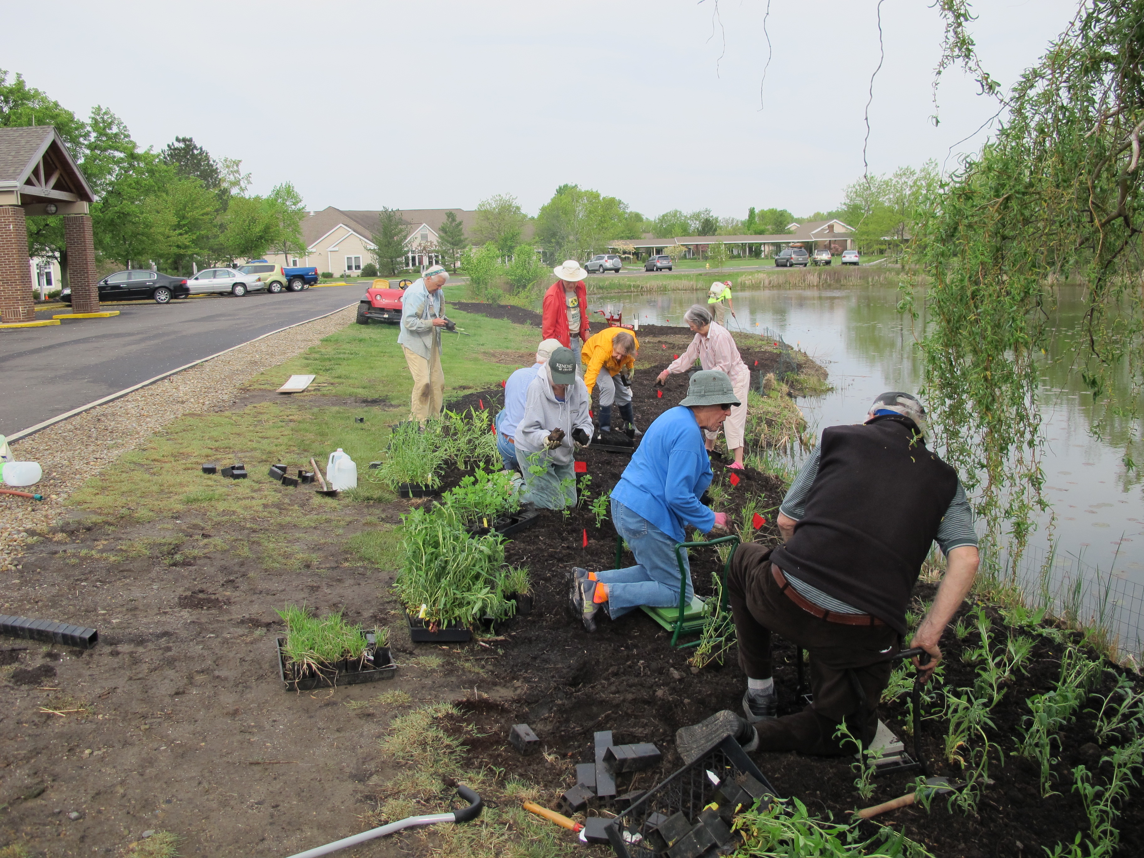 Planting Heiser Pond Garden.JPG