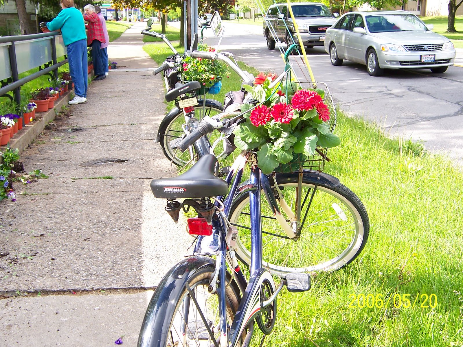 Even the bikes burst into bloom in Oberlin springtime