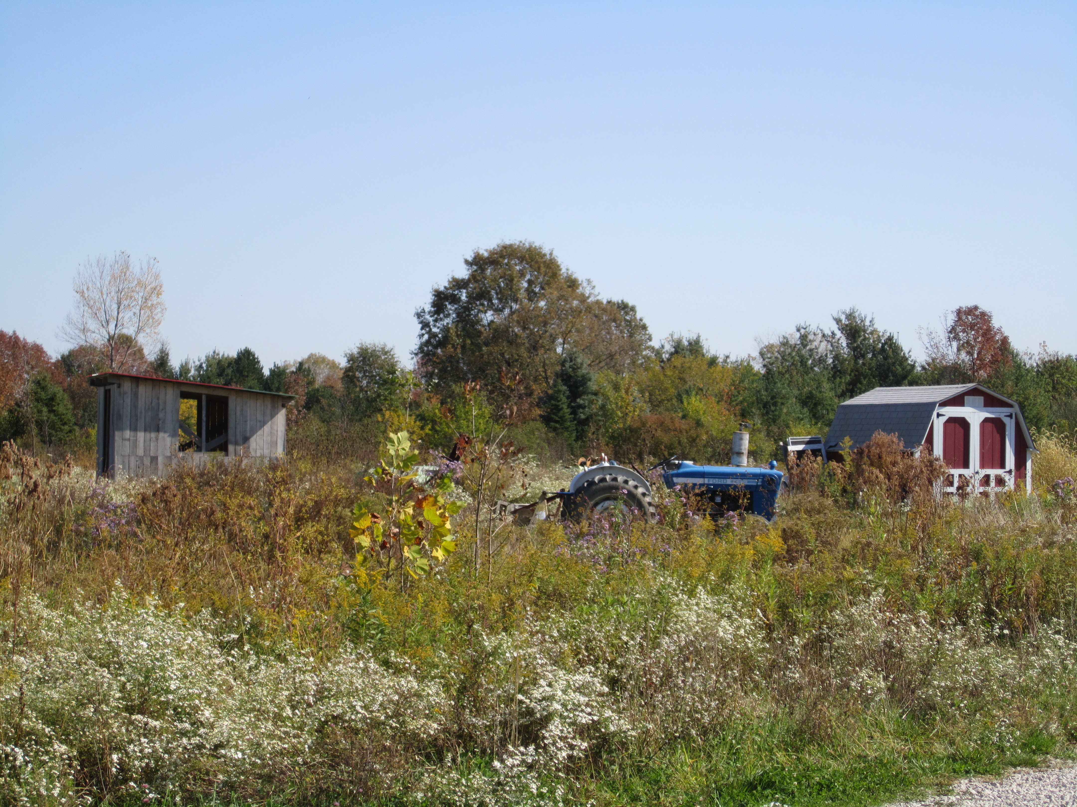 George Jones Farm meadow