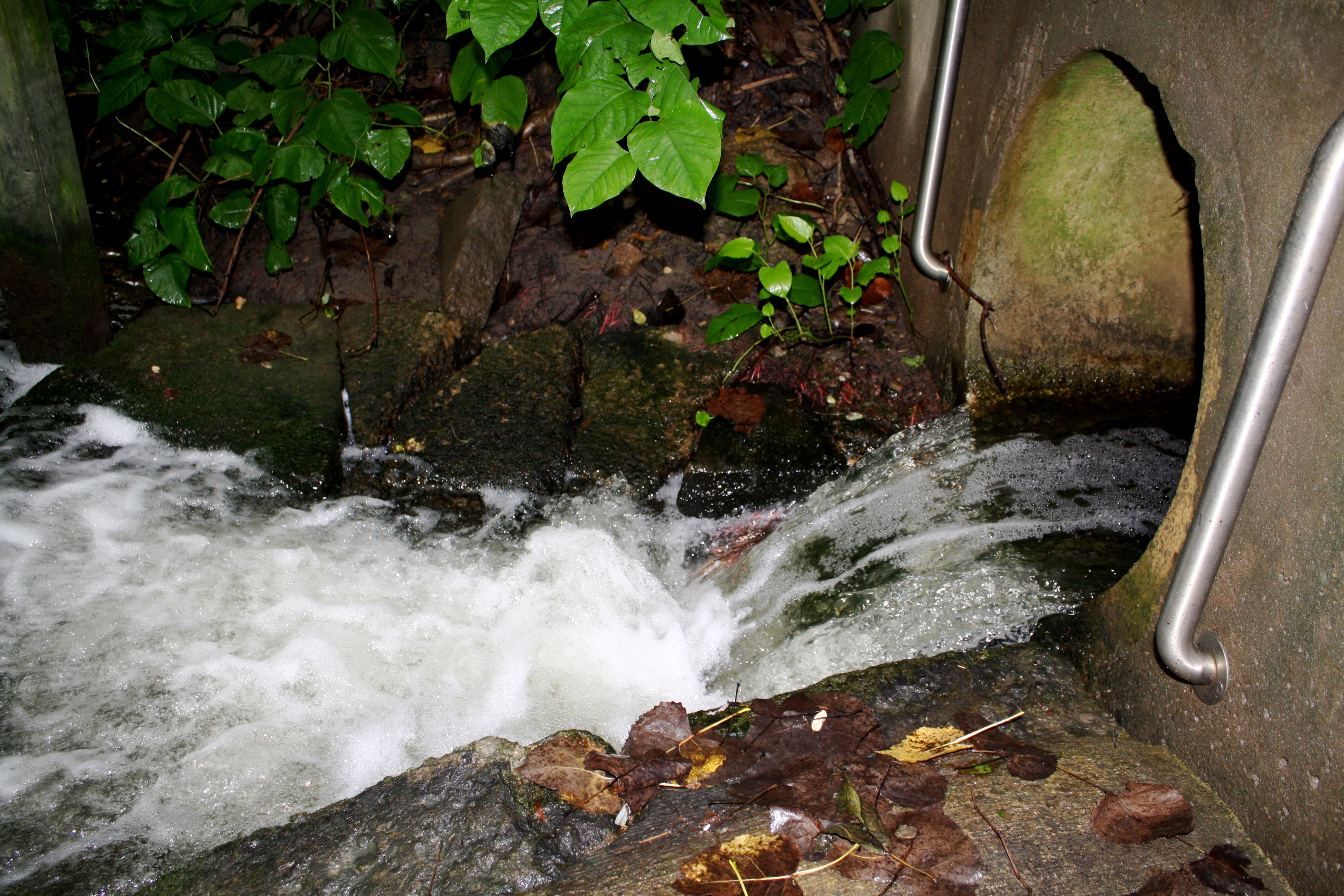 Stormwater runoff flows into Plum Creek