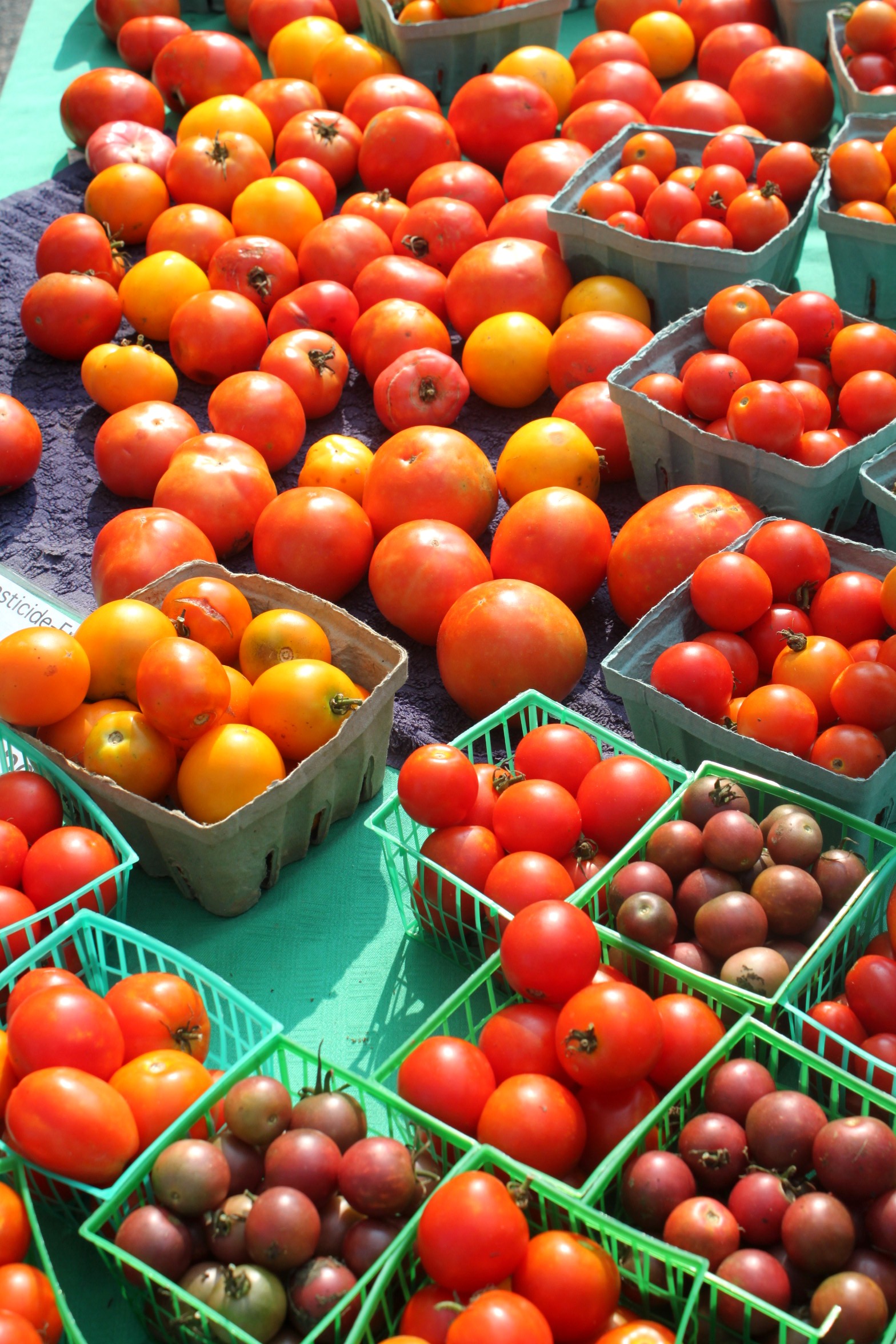 Tomatoes at the farmer's market