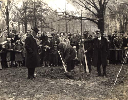 Memorial Tree Planting, 1933