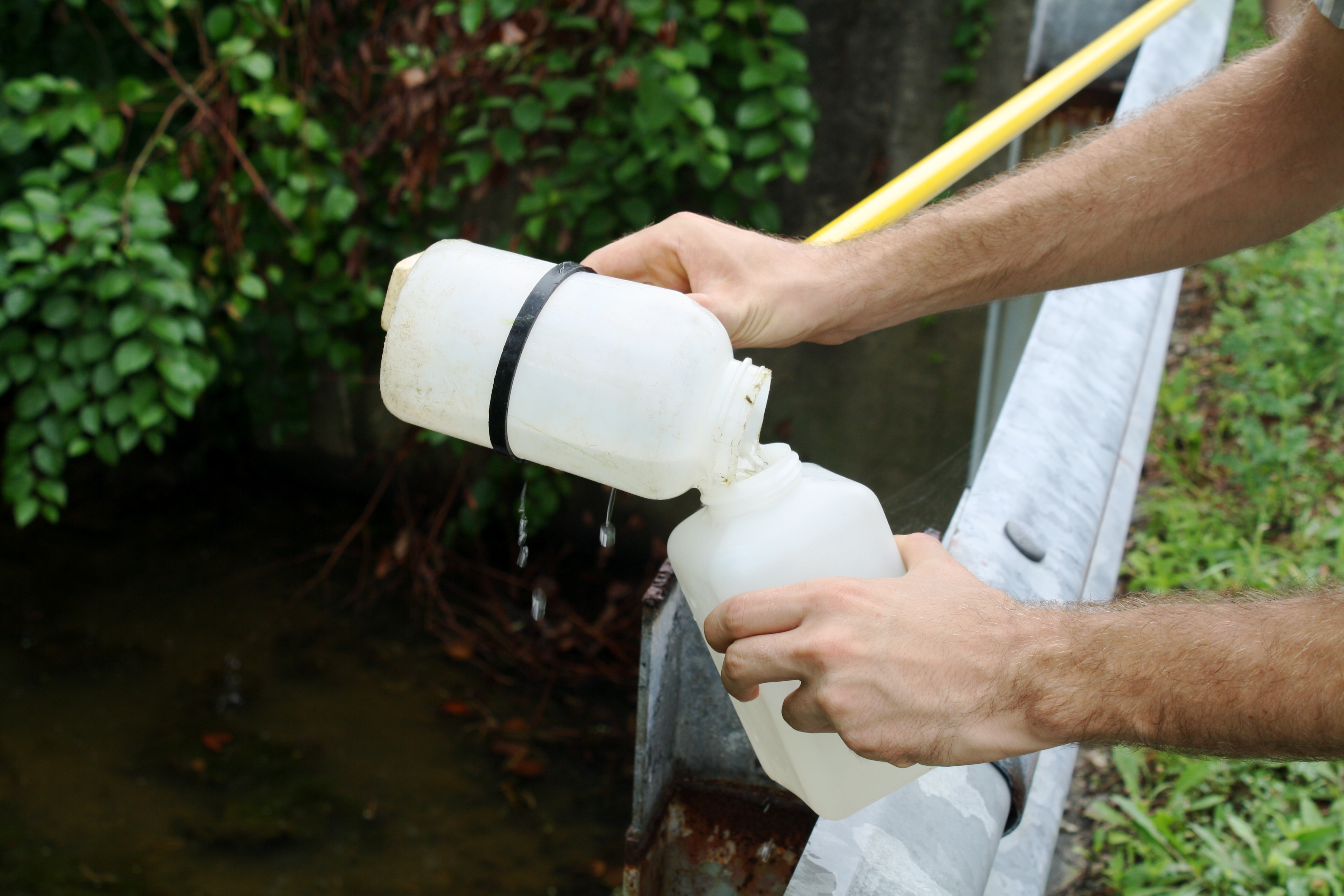 Students collect a sample Plum Creek to make sure our water systems are healthy