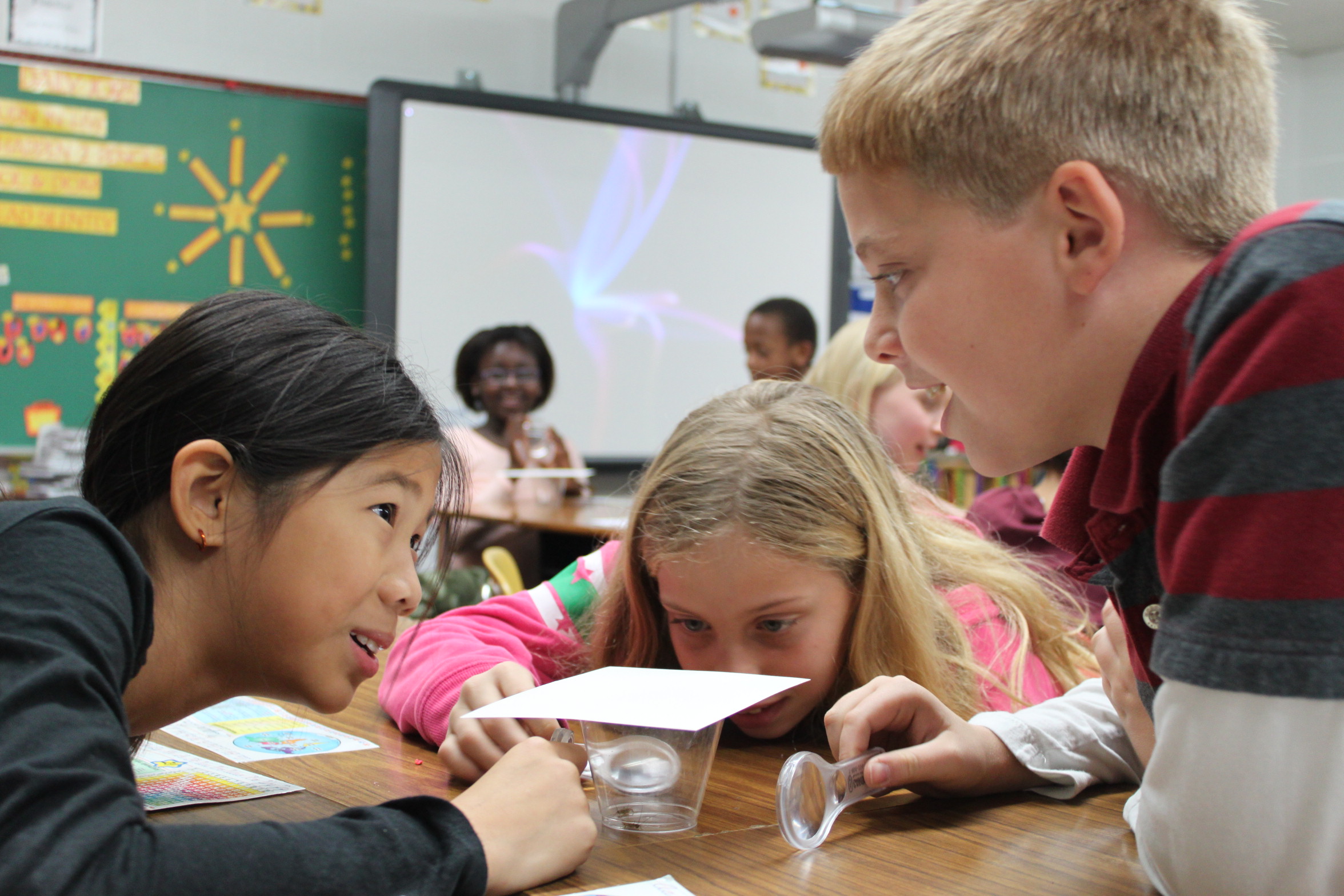 Prospect students observing