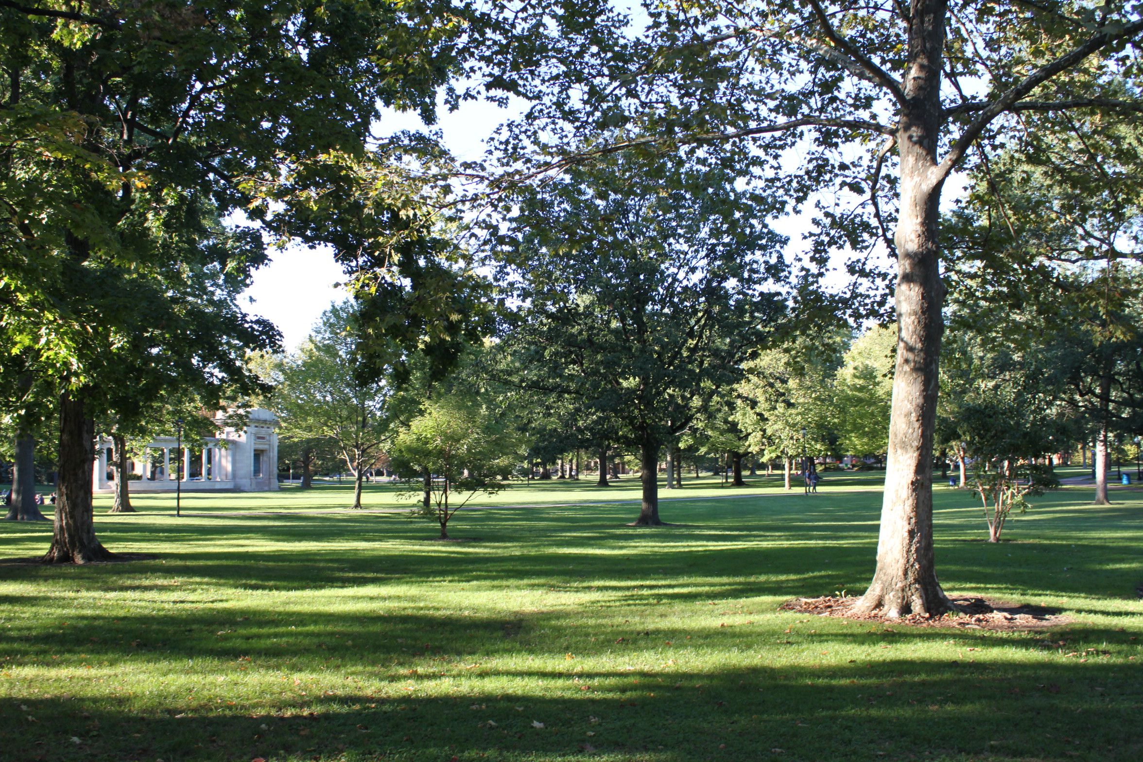 Tappan on a sunny day