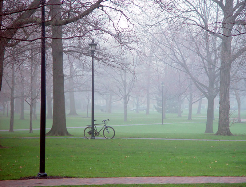 A foggy day in Tappan Square