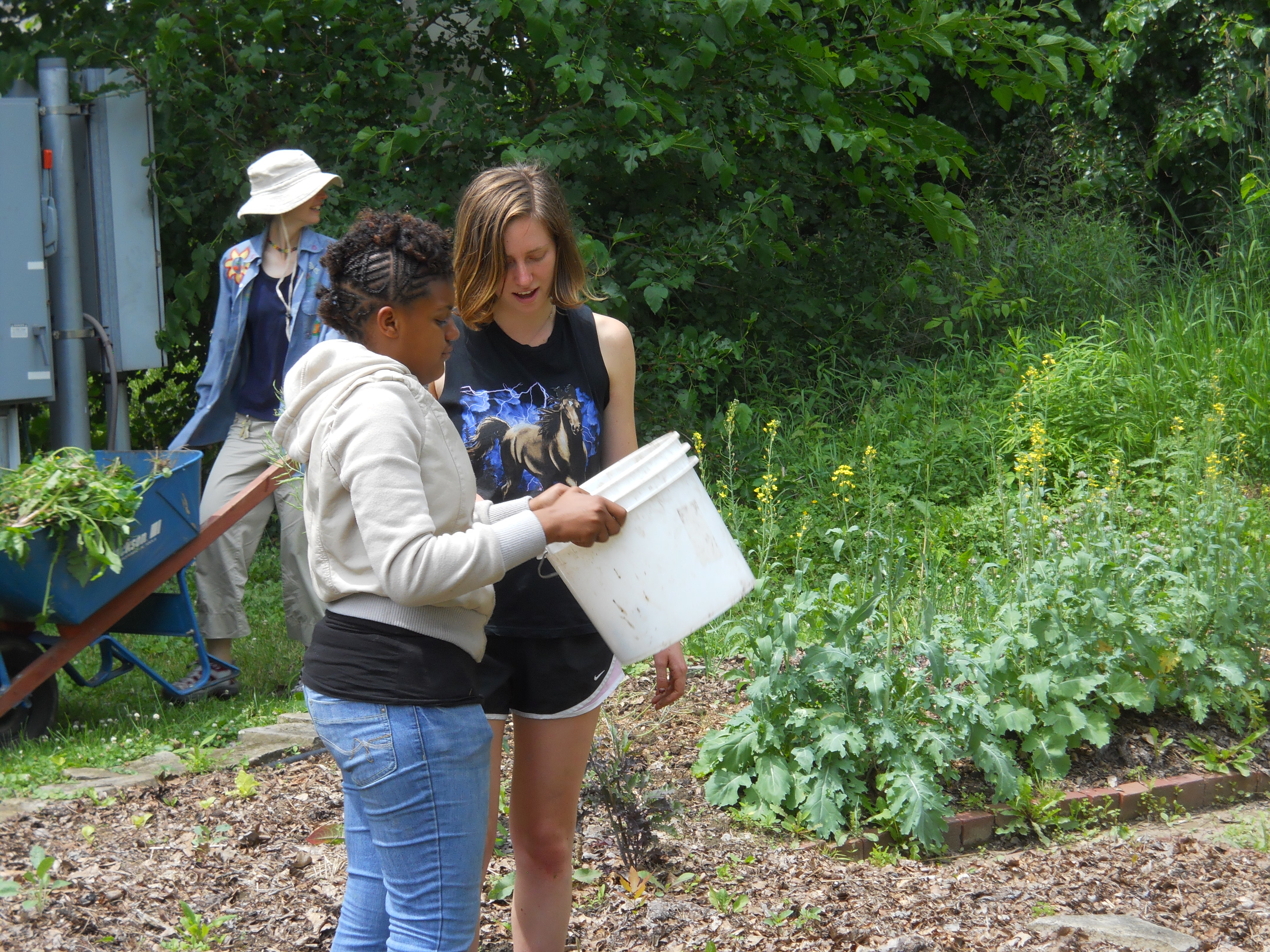 Ninde in AJLC Garden
