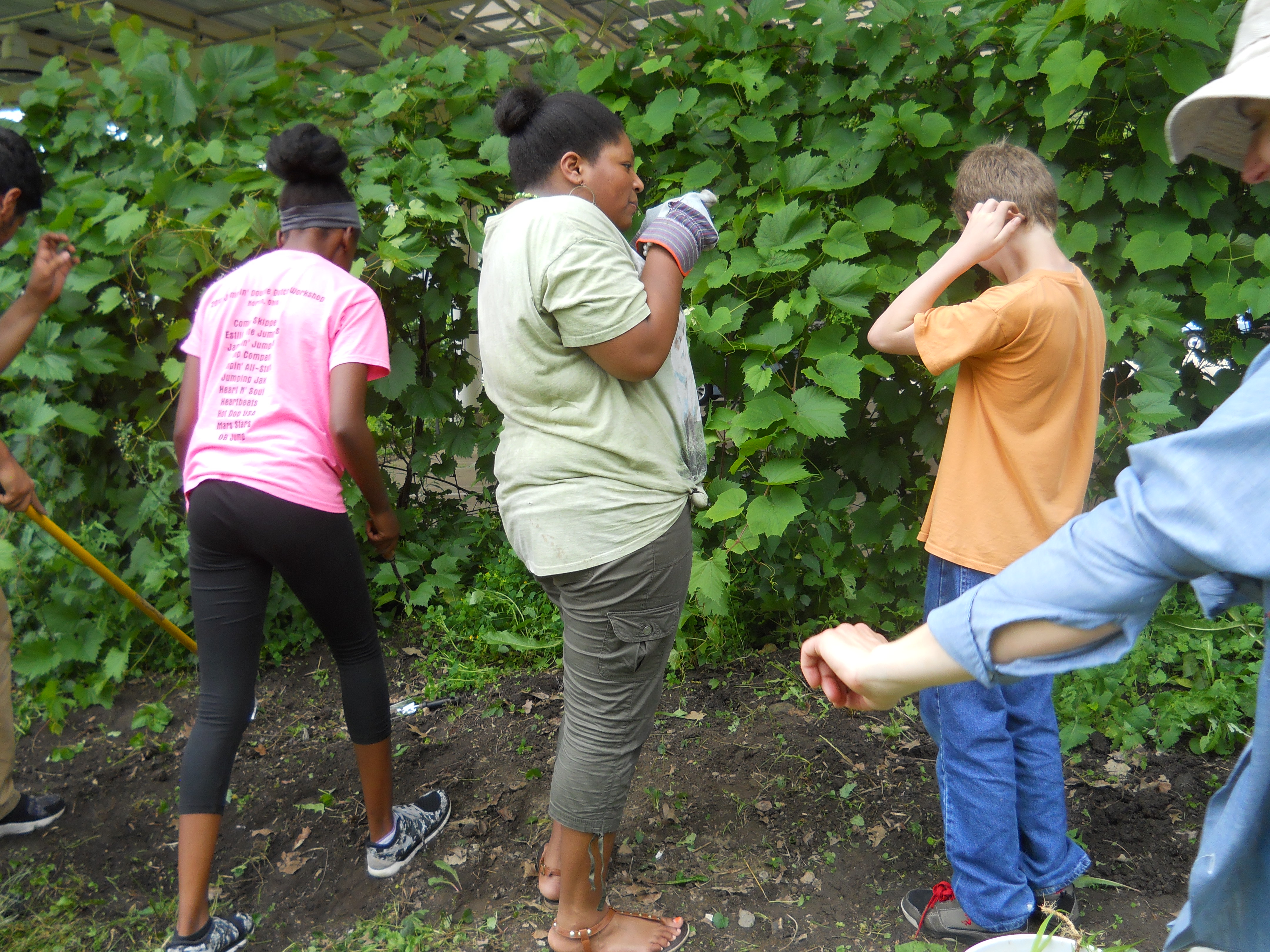 Ninde in AJLC Garden