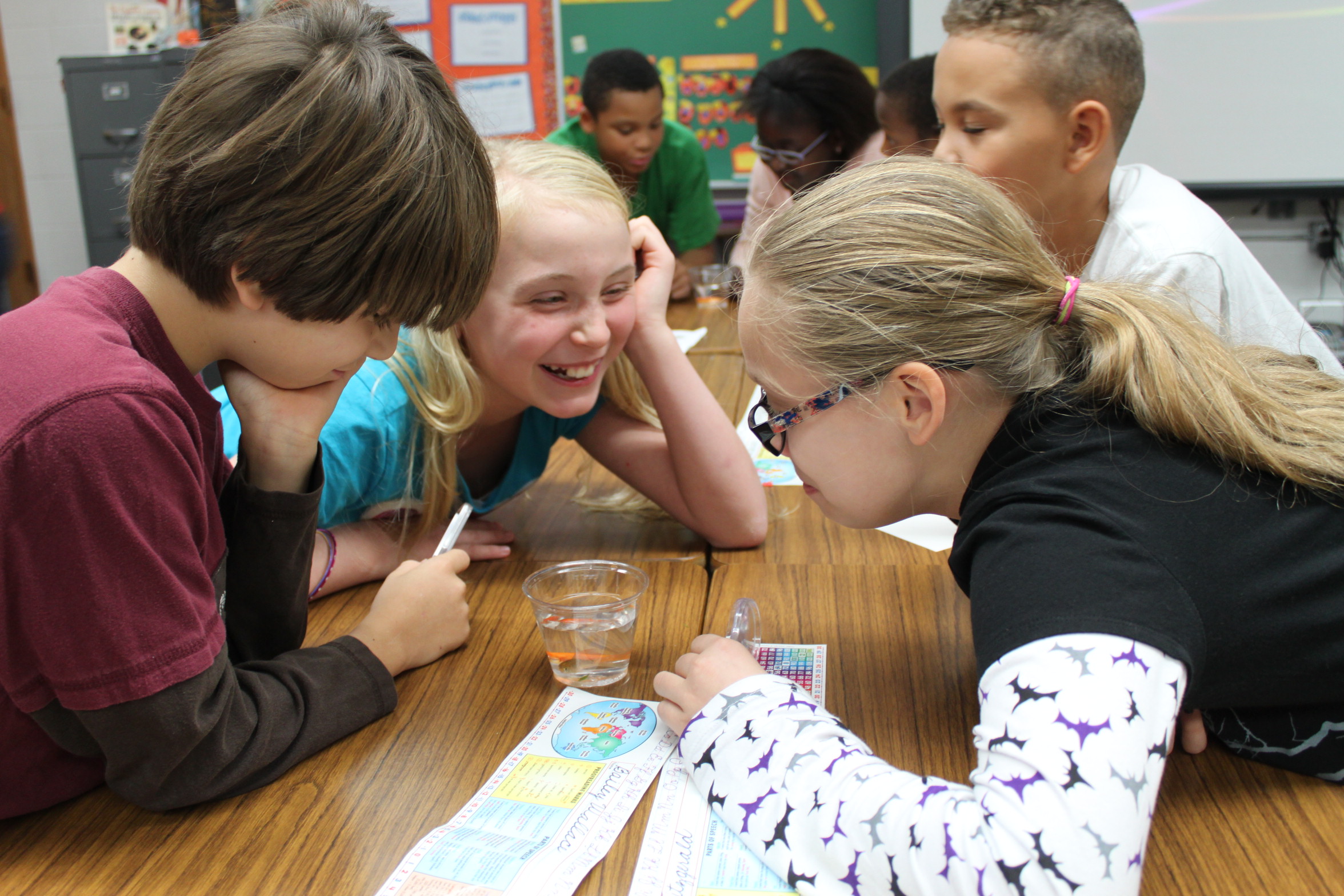 Prospect students observing a goldfish