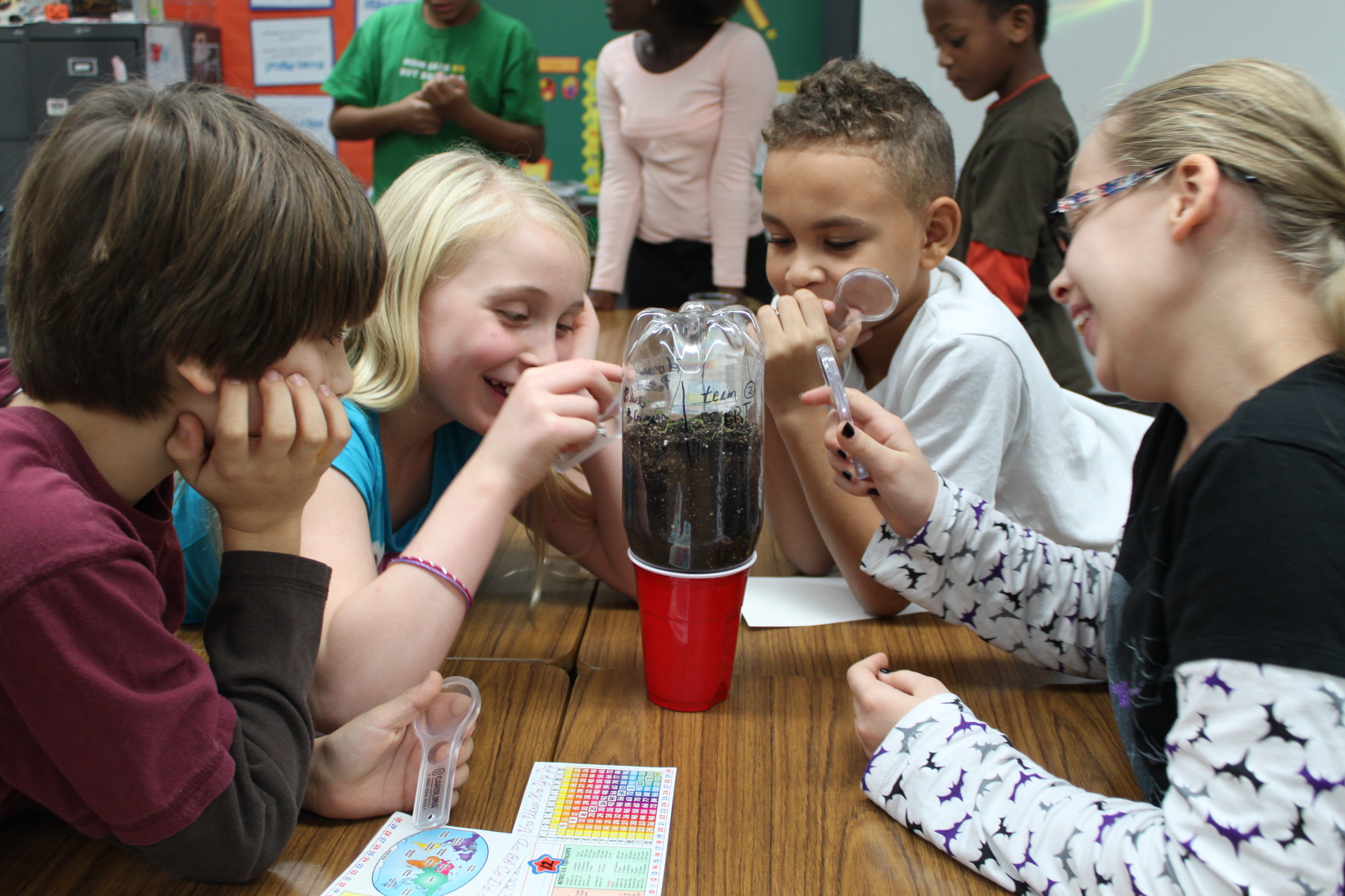 Prospect students study miniature environment