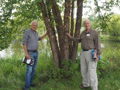 Arboretum Committee Kendal.jpg
