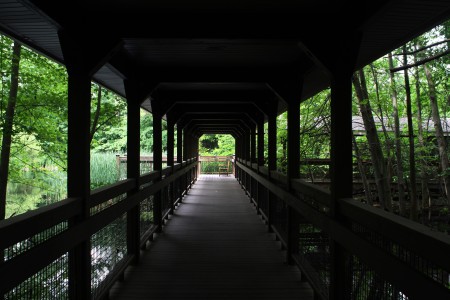 Nature Walk at Kendal
